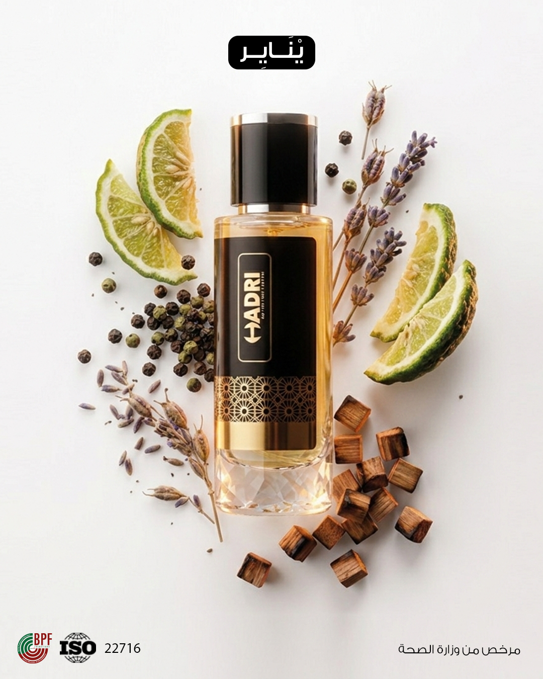 JANVIER LAHO – يناير لهُ